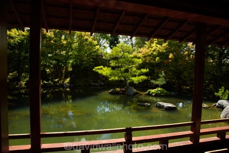 botanic-garden;botanic-gardens;botanical-garden;botanical-gardens;garden;gardens;Hamilton-Garden;Hamilton-Gardens;Japanese-Garden;Japanese-Garden-of-Contemplation;Japanese-Gardens;N.Z.;New-Zealand;North-Is;North-Island;Nth-Is;NZ;Paradise-Collection;Paradise-Garden-Collection;pond;ponds;public-garden;public-gardens;Waikato;water-feature;water-features