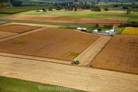 aerial;aerial-image;aerial-images;aerial-photo;aerial-photograph;aerial-photographs;aerial-photography;aerial-photos;aerial-view;aerial-views;aerials;agricultural;agriculture;combine-harvester;combine-harvesters;country;countryside;crop;crops;farm;farming;farmland;farms;field;fields;Hamilton;horticulture;maize;meadow;meadows;N.Z.;New-Zealand;North-Is;North-Island;Nth-Is;NZ;paddock;paddocks;pasture;pastures;Rukuhia;rural;tractor;tractors;Waikato