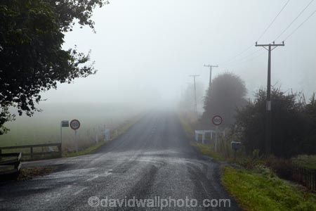 agricultural;agriculture;country;countryside;driving;driving-hazard;farm;farming;farmland;farms;field;fields;fog;foggy;highway;highways;meadow;meadows;mist;misty;N.Z.;New-Zealand;North-Is;North-Island;Nth-Is;NZ;open-road;open-roads;paddock;paddocks;pasture;pastures;road;road-trip;roads;rural;transport;transportation;travel;tree;trees;Waikato;Waikato-Region;weather