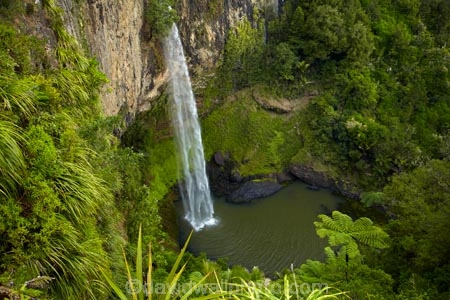 Bridal-Veil-Fall;Bridal-Veil-Falls;Bridalveil-Fall;Bridalveil-Falls;cascade;cascades;fall;falls;green;lush;N.Z.;natural;nature;New-Zealand;North-Is;North-Island;Nth-Is;NZ;Pakoka-River;scene;scenic;Waikato;Waireinga;water;water-fall;water-falls;waterfall;waterfalls;wet