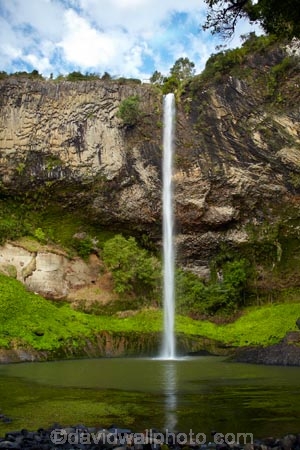 Bridal-Veil-Fall;Bridal-Veil-Falls;Bridalveil-Fall;Bridalveil-Falls;cascade;cascades;fall;falls;green;lush;N.Z.;natural;nature;New-Zealand;North-Is;North-Island;Nth-Is;NZ;Pakoka-River;scene;scenic;Waikato;Waireinga;water;water-fall;water-falls;waterfall;waterfalls;wet