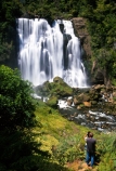 brook;calm;calmness;fern;forest;green;native-bush;natural;nature;stream;water;water-falls;waterfall;waterfalls