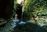 bush;cavern;caverns;caves;creek;creeks;flora;native;natural;person;rocks;rocky;streams;tourist;tunnel;undergrowth;water