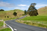 agricultural;agriculture;bend;bends;centre-line;centre-lines;centre_line;centre_lines;centreline;centrelines;corner;corners;country;countryside;driving;farm;farming;Farmland;farms;field;fields;King-Country;Kopaki;meadow;meadows;N.I.;N.Z.;New-Zealand;NI;North-Island;NZ;open-road;open-roads;paddock;paddocks;pasture;pastures;Road;road-trip;roads;rural;transport;transportation;travel;traveling;travelling;trip