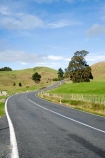 agricultural;agriculture;bend;bends;centre-line;centre-lines;centre_line;centre_lines;centreline;centrelines;corner;corners;country;countryside;driving;farm;farming;Farmland;farms;field;fields;King-Country;Kopaki;meadow;meadows;N.I.;N.Z.;New-Zealand;NI;North-Island;NZ;open-road;open-roads;paddock;paddocks;pasture;pastures;Road;road-trip;roads;rural;transport;transportation;travel;traveling;travelling;trip