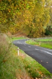 autuminal;autumn;autumn-colour;autumn-colours;autumnal;bend;bends;centre-line;centre-lines;centre_line;centre_lines;centreline;centrelines;color;colors;colour;colours;corner;corners;deciduous;driving;fall;Forgotten-World-Highway;King-Country;leaf;leaves;N.I.;N.Z.;New-Zealand;NI;North-Island;NZ;open-road;open-roads;road;road-trip;roads;season;seasonal;seasons;Tokirima;transport;transportation;travel;traveling;travelling;tree;trees;trip