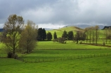 agricultural;agriculture;country;countryside;farm;farming;Farmland;farms;fence;fence-line;fence-lines;fence_line;fence_lines;fenceline;fencelines;fences;field;fields;Huntly;Lake-Waikare;meadow;meadows;N.I.;N.Z.;New-Zealand;NI;North-Island;NZ;paddock;paddocks;pasture;pastures;rural;Waikato