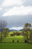 agricultural;agriculture;country;countryside;farm;farming;Farmland;farms;field;fields;Huntly;Lake-Waikare;meadow;meadows;N.I.;N.Z.;New-Zealand;NI;North-Island;NZ;paddock;paddocks;pasture;pastures;rural;Waikato