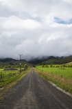 agricultural;agriculture;country;countryside;dusty;farm;farming;farmland;farms;field;fields;gravel-road;gravel-roads;line;lines;meadow;meadows;metal-road;metal-roads;metalled-road;metalled-roads;N.I.;N.Z.;New-Zealand;NI;North-Island;NZ;paddock;paddocks;pasture;pastures;pole;poles;post;posts;power-line;power-lines;power-pole;power-poles;road;roads;rural;telegraph-line;telegraph-lines;telegraph-pole;telegraph-poles;Waikato;wire;wires