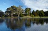 calm;Hamilton-Lake;Hamilton-Lake-Domain;lake;Lake-Domain-Reserve;Lake-Hamilton;Lake-Rotoroa;lakes;N.Z.;New-Zealand;North-Is;North-Island;Nth-Is;NZ;park;parks;placid;quiet;reflected;reflection;reflections;serene;smooth;still;tranquil;Waikato;water