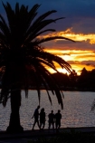 cloud;clouds;dusk;evening;Hamilton-Lake;Hamilton-Lake-Domain;lake;Lake-Domain-Reserve;Lake-Hamilton;Lake-Rotoroa;lakes;N.Z.;New-Zealand;night;night_time;nightfall;North-Is;North-Island;Nth-Is;NZ;palm;palm-tree;palm-trees;palms;people;person;sunset;sunsets;twilight;Waikato;walker;walkers
