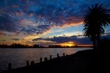 calm;cloud;clouds;dusk;evening;Hamilton-Lake;Hamilton-Lake-Domain;lake;Lake-Domain-Reserve;Lake-Hamilton;Lake-Rotoroa;lakes;N.Z.;New-Zealand;night;night_time;nightfall;North-Is;North-Island;Nth-Is;NZ;palm;palm-tree;palm-trees;palms;placid;quiet;reflected;reflection;reflections;serene;smooth;still;sunset;sunsets;tranquil;twilight;Waikato;water