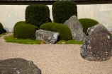 botanic-garden;botanic-gardens;botanical-garden;botanical-gardens;garden;gardens;Hamilton-Garden;Hamilton-Gardens;Japanese-Garden;Japanese-Garden-of-Contemplation;Japanese-Gardens;N.Z.;New-Zealand;North-Is;North-Island;Nth-Is;NZ;Paradise-Collection;Paradise-Garden-Collection;public-garden;public-gardens;Waikato
