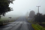 agricultural;agriculture;country;countryside;driving;driving-hazard;farm;farming;farmland;farms;field;fields;fog;foggy;highway;highways;meadow;meadows;mist;misty;N.Z.;New-Zealand;North-Is;North-Island;Nth-Is;NZ;open-road;open-roads;paddock;paddocks;pasture;pastures;road;road-trip;roads;rural;transport;transportation;travel;tree;trees;Waikato;Waikato-Region;weather