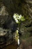 arch;arches;cave;caves;geological;geology;Mangapohue-Natural-Bridge;N.Z.;natural-tunnel;natural-tunnels;New-Zealand;North-Is;North-Island;Nth-Is;NZ;rock;rock-arch;rock-arches;rock-formation;rock-formations;unusual-natural-feature;unusual-natural-features;Waikato;Waikato-Region;Waitomo-District