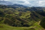 agricultural;agriculture;country;countryside;farm;farming;farmland;farms;field;fields;meadow;meadows;N.Z.;New-Zealand;North-Is;North-Island;Nth-Is;NZ;paddock;paddocks;pasture;pastures;rural;steep;Waikato;Waikato-Region;Waitomo-District
