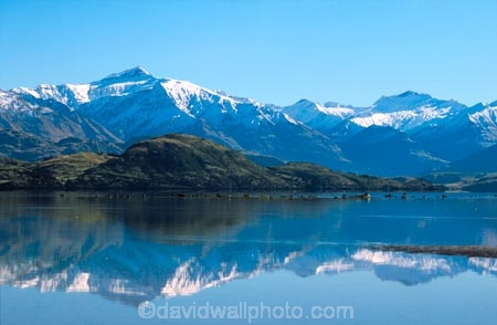 lake;lake-wanaka;reflection;reflections;still;stillness;water;tranquil;tranquility;peaceful;calm;mountain;mountains;winter;snow;snow-caps;snow_caps;snow-cap;snow_cap;snow-capped;snow_capped;bird;birds;perch;perched;perching