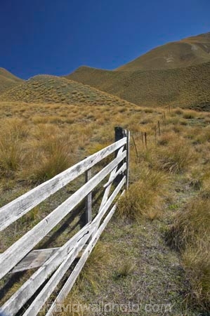 Central-Otago;fence;fenceline;fencelines;fences;gate;gates;high-country;highcountry;highland;highlands;Lindis-Pass;N.Z.;New-Zealand;North-Otago;NZ;Otago;ridge;ridgeline;ridgelines;ridges;SI;snow-tussock;snow-tussocks;South-Island;tussock;tussock-land;tussock-lands;tussockland;tussocklands;tussocks;uplands