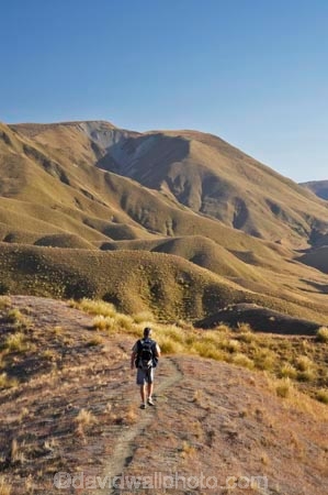 Central-Otago;high-country;highcountry;highland;highlands;Lindis-Pass;mountain;mountains;N.Z.;New-Zealand;North-Otago;NZ;Otago;people;person;photographer;photographers;range;ranges;ridge;ridgeline;ridgelines;ridges;SI;snow-tussock;snow-tussocks;South-Island;tussock;tussock-land;tussock-lands;tussockland;tussocklands;tussocks;uplands