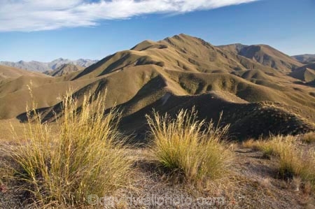 Central-Otago;high-country;highcountry;highland;highlands;Lindis-Pass;mountain;mountains;N.Z.;New-Zealand;North-Otago;NZ;Otago;range;ranges;ridge;ridgeline;ridgelines;ridges;SI;snow-tussock;snow-tussocks;South-Island;tussock;tussock-land;tussock-lands;tussockland;tussocklands;tussocks;uplands