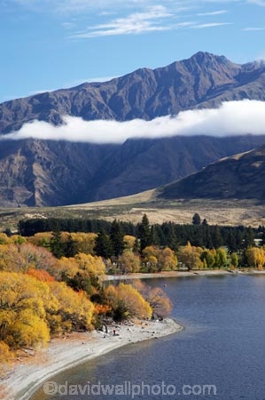 autuminal;autumn;autumn-colour;autumn-colours;autumnal;Central-Otago;cloud;clouds;color;colors;colour;colours;deciduous;End-Peak;fall;Glendhu-Bay;Harris-Mountains;lake;Lake-Wanaka;lakes;leaf;leaves;mist;mists;misty;N.Z.;New-Zealand;NZ;Otago;S.I.;season;seasonal;seasons;shoreline;shorelines;SI;South-Island;Southern-Lakes;Southern-Lakes-District;Southern-Lakes-Region;tree;trees;Wanaka;water;willow;willow-tree;willow-trees;willows
