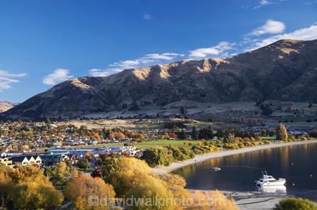 autuminal;autumn;autumn-colour;autumn-colours;autumnal;boat;boats;Central-Otago;color;colors;colour;colours;cruise;cruises;deciduous;fall;lake;Lake-Wanaka;lakes;launch;launches;leaf;leaves;N.Z.;New-Zealand;NZ;Otago;S.I.;season;seasonal;seasons;shoreline;shorelines;SI;South-Island;Southern-Lakes;Southern-Lakes-District;Southern-Lakes-Region;tour-boat;tour-boats;tourism;tourist;tourist-boat;tourist-boats;tree;trees;Wanaka;water;willow;willow-tree;willow-trees;willows