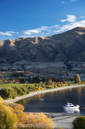 autuminal;autumn;autumn-colour;autumn-colours;autumnal;boat;boats;Central-Otago;color;colors;colour;colours;cruise;cruises;deciduous;fall;lake;Lake-Wanaka;lakes;launch;launches;leaf;leaves;N.Z.;New-Zealand;NZ;Otago;S.I.;season;seasonal;seasons;shoreline;shorelines;SI;South-Island;Southern-Lakes;Southern-Lakes-District;Southern-Lakes-Region;tour-boat;tour-boats;tourism;tourist;tourist-boat;tourist-boats;tree;trees;Wanaka;water;willow;willow-tree;willow-trees;willows