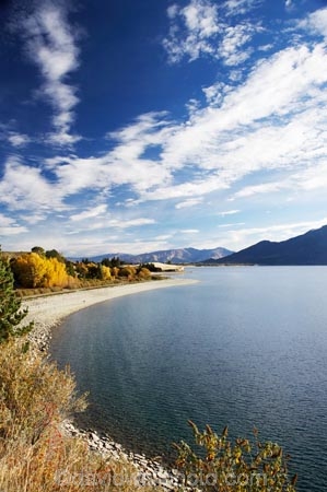 autuminal;autumn;autumn-colour;autumn-colours;autumnal;Central-Otago;color;colors;colour;colours;deciduous;fall;Hawea;lake;Lake-Hawea;lakes;leaf;leaves;N.Z.;New-Zealand;NZ;Otago;S.I.;season;seasonal;seasons;SI;South-Island;Southern-Lakes;Southern-Lakes-District;Southern-Lakes-Region;tree;trees
