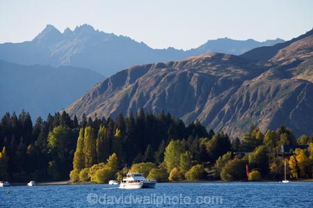 autuminal;autumn;autumn-colour;autumn-colours;autumnal;boat;boats;catermaran;catermarans;color;colors;colour;colours;deciduous;fall;lake;Lake-Wanaka;lakes;N.Z.;New-Zealand;NZ;Otago;S.I.;season;seasonal;seasons;SI;South-Is.;South-Island;Southern-Lakes-District;Southern-Lakes-Region;The-Peninsula;tree;trees;Wanaka