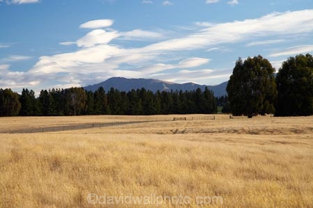 agricultural;agriculture;Air-Games;country;countryside;dry-grass;farm;farming;farmland;farms;field;fields;lenticular-cloud;lenticular-clouds;meadow;meadows;N.Z.;New-Zealand;New-Zealand-Air-Games;NZ;NZ-Air-Games;Otago;paddock;paddocks;pasture;pastures;rural;S.I.;SI;South-Island