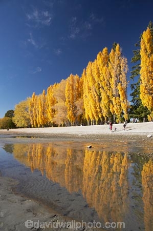 autuminal;autumn;autumn-colour;autumn-colours;autumnal;calm;Central-Otago;color;colors;colour;colours;deciduous;fall;families;family;golden;lake;Lake-Wanaka;lakes;leaf;leaves;N.Z.;New-Zealand;NZ;Otago;people;person;persons;placid;poplar;poplar-tree;poplar-trees;poplars;quiet;reflection;reflections;S.I.;season;seasonal;seasons;serene;SI;smooth;South-Is.;South-Island;Southern-Lakes;Southern-Lakes-District;Southern-Lakes-Region;still;tranquil;tree;trees;Wanaka;water;yellow
