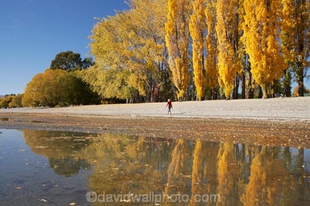 autuminal;autumn;autumn-colour;autumn-colours;autumnal;calm;Central-Otago;color;colors;colour;colours;deciduous;fall;female;girl;girls;golden;lake;Lake-Wanaka;lakes;leaf;leaves;N.Z.;New-Zealand;NZ;Otago;people;person;persons;placid;poplar;poplar-tree;poplar-trees;poplars;quiet;reflection;reflections;S.I.;season;seasonal;seasons;serene;SI;smooth;South-Is.;South-Island;Southern-Lakes;Southern-Lakes-District;Southern-Lakes-Region;still;tranquil;tree;trees;Wanaka;water;woman;women;yellow