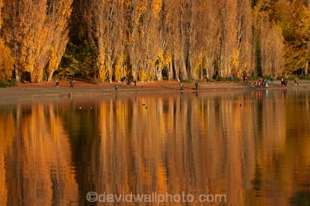 autuminal;autumn;autumn-colour;autumn-colours;autumnal;calm;Central-Otago;color;colors;colour;colours;deciduous;fall;gold;golden;lake;Lake-Wanaka;lakes;leaf;leaves;N.Z.;New-Zealand;NZ;Otago;people;person;photographer;photographers;placid;poplar;poplar-tree;poplar-trees;poplars;quiet;reflected;reflection;reflections;S.I.;season;seasonal;seasons;serene;SI;smooth;South-Is.;South-Island;Southern-Lakes;Southern-Lakes-District;Southern-Lakes-Region;Sth-Is;still;tourism;tourist;tourists;tranquil;tree;trees;Wanaka;water;yellow