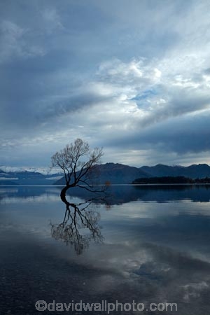 calm;Central-Otago;cloud;clouds;cloudy;lake;Lake-Wanaka;lakes;N.Z.;New-Zealand;NZ;Otago;placid;quiet;reflected;reflection;reflections;serene;SI;smooth;South-Island;Sth-Is;still;that-tree;that-wanaka-tree;thattree;thatwanakatree;tranquil;tree;tree-in-lake;trees;Wanaka;Wanaka-Tree;water;willow;willow-tree;willow-trees;willows
