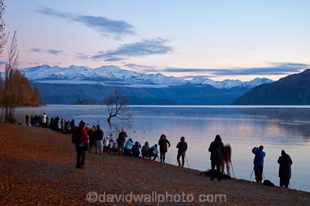 calm;Central-Otago;lake;Lake-Wanaka;lakes;N.Z.;New-Zealand;NZ;Otago;people;person;photographer;photographers;photography;placid;quiet;reflected;reflection;reflections;serene;SI;smooth;South-Island;Sth-Is;still;that-tree;that-wanaka-tree;thattree;thatwanakatree;tourism;tourist;tourists;tranquil;tree;tree-in-lake;trees;Wanaka;Wanaka-Tree;water;willow;willow-tree;willow-trees;willows