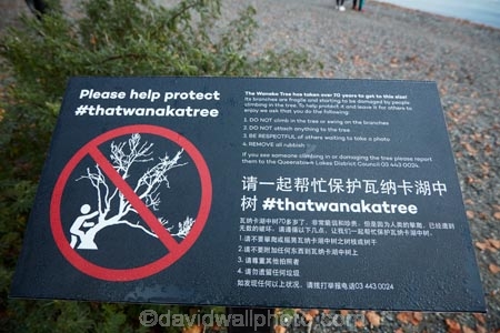 Central-Otago;information;lake;Lake-Wanaka;lakes;N.Z.;New-Zealand;no-climbing;no-climbing-sign;NZ;Otago;SI;sign;signs;South-Island;Sth-Is;that-tree;that-wanaka-tree;thattree;thatwanakatree;tree;tree-in-lake;trees;Wanaka;Wanaka-Tree;willow;willow-tree;willow-trees;willows