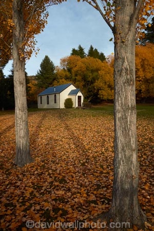 autuminal;autumn;autumn-colour;autumn-colours;autumnal;building;buildings;Cadrona;Cardrona;Cardrona-Church;Cardrona-Hall;Cardrona-Valley;Central-Otago;color;colors;colour;colours;deciduous;fall;gold;golden;heritage;historic;historic-building;historic-buildings;historical;historical-building;historical-buildings;history;leaf;leaves;N.Z.;New-Zealand;NZ;old;Otago;season;seasonal;seasons;SI;South-Island;Sth-Is;tradition;traditional;tree;trees;Wanaka;weatherboard;weatherboards;wood;wooden;wooden-building;wooden-buildings;yellow
