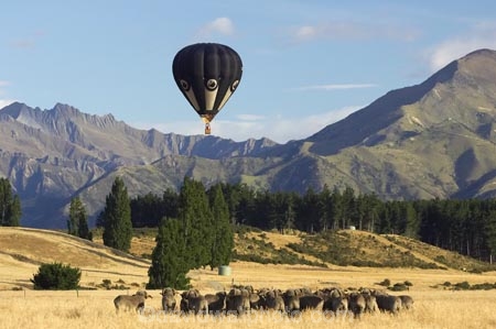 adventure;air;Air-Games;aviation;balloon;ballooning;balloons;flight;float;floating;fly;flying;horticulture;hot-air-balloon;hot-air-ballooning;hot-air-balloons;Hot_air-Balloon;hot_air-ballooning;hot_air-balloons;hotair-balloon;hotair-balloons;merino;mid-air;mid_air;mountain;mountains;N.Z.;New-Zealand;New-Zealand-Air-Games;NZ;NZ-Air-Games;Otago;S.I.;sheep;SI;South-Island;sport;sports;stock;transport;transportation;Wanaka