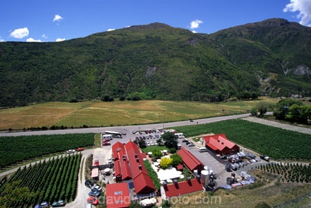 al-fresco;alfresco;cafe;courtyard;crop;crops;cultivation;drink;eating;farm;farming;farms;field;fields;food;grape;grapes;grapevine;horticulture;lunch;outdoor;restaurant;rural;table;tables;umbrella;umbrellas;vine;vines;vineyard;vineyards;vintage;wine;wineries;winery;wines