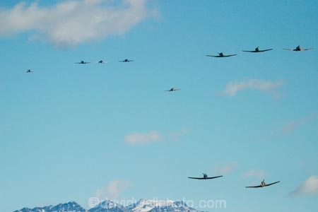 aeroplane;aeroplanes;air-craft;air-display;air-displays;air-force;air-show;air-shows;aircraft;airforce;airplane;airplanes;airshow;airshows;aviating;aviation;aviator;aviators;china;chinese;combat;demonstration;display;display-team;displays;fighter;fighter-plane;fighter-planes;fighters;flight;flights;fly;flyer;flyers;flying;formation;formations;harvard;harvards;military;nanchang;nanchangs;Nangchang-CJ6s;navy;new-zealand;nz;pilot;pilots;plane;planes;rnzaf;sky;snj;snjs;south-island;t6-texabs;t6-texan;trainer;trainers;us-navy;usaf;wanaka;war;warbird;warbirds;warbirds-over-wanaka;wars;world-war-2;world-war-two;ww2;WWII