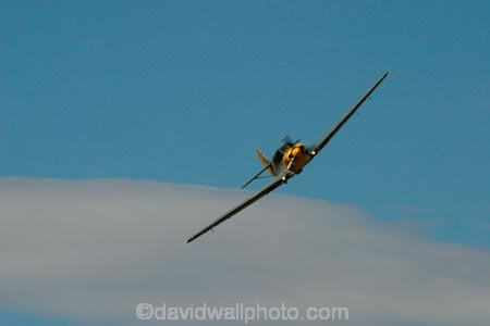 1939;1940;1941;1942;1943;1944;1945;aeroplane;aeroplanes;air-craft;air-display;air-displays;air-force;air-show;air-shows;aircraft;airforce;airplane;airplanes;airshow;airshows;aviating;aviation;aviator;aviators;Bf-108;Bf108;combat;demonstration;display;displays;fighter;fighter-bomber;fighter-bombers;fighter-plane;fighter-planes;fighters;flight;flights;fly;flyer;flyers;flying;german;germany;luftwaffe;Me-108;Me-108s;Messerschmitt;Messerschmitt-Me108;Messerschmitt-Me108s;Messerschmitts;military;new-zealand;nz;pilot;pilots;plane;planes;propellor;sky;south-island;taifun;trainer;wanaka;war;warbird;warbirds;warbirds-over-wanaka;wars;world-war-2;world-war-two;ww2;WWII
