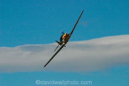 1939;1940;1941;1942;1943;1944;1945;aeroplane;aeroplanes;air-craft;air-display;air-displays;air-force;air-show;air-shows;aircraft;airforce;airplane;airplanes;airshow;airshows;aviating;aviation;aviator;aviators;Bf-108;Bf108;combat;demonstration;display;displays;fighter;fighter-bomber;fighter-bombers;fighter-plane;fighter-planes;fighters;flight;flights;fly;flyer;flyers;flying;german;germany;luftwaffe;Me-108;Me-108s;Messerschmitt;Messerschmitt-Me108;Messerschmitt-Me108s;Messerschmitts;military;new-zealand;nz;pilot;pilots;plane;planes;propellor;sky;south-island;taifun;trainer;wanaka;war;warbird;warbirds;warbirds-over-wanaka;wars;world-war-2;world-war-two;ww2;WWII