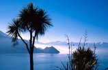 blue;cabbage-tree;cabbage-trees;calm;colour;haze;hazy;lake;lake-hawea;peaceful;silhouette;silhouetted;silhouettes;sun-beam;sun-beams;sun-ray;sun-rays;tranquil;tranquility
