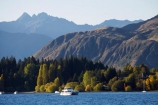 autuminal;autumn;autumn-colour;autumn-colours;autumnal;boat;boats;catermaran;catermarans;color;colors;colour;colours;deciduous;fall;lake;Lake-Wanaka;lakes;N.Z.;New-Zealand;NZ;Otago;S.I.;season;seasonal;seasons;SI;South-Is.;South-Island;Southern-Lakes-District;Southern-Lakes-Region;The-Peninsula;tree;trees;Wanaka