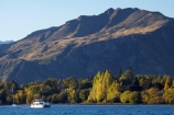 autuminal;autumn;autumn-colour;autumn-colours;autumnal;boat;boats;catermaran;catermarans;color;colors;colour;colours;deciduous;fall;lake;Lake-Wanaka;lakes;N.Z.;New-Zealand;NZ;Otago;S.I.;season;seasonal;seasons;SI;South-Is.;South-Island;Southern-Lakes-District;Southern-Lakes-Region;The-Peninsula;tree;trees;Wanaka
