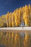 autuminal;autumn;autumn-colour;autumn-colours;autumnal;calm;Central-Otago;color;colors;colour;colours;deciduous;fall;female;girl;girls;golden;lake;Lake-Wanaka;lakes;leaf;leaves;N.Z.;New-Zealand;NZ;Otago;people;person;persons;placid;poplar;poplar-tree;poplar-trees;poplars;quiet;reflection;reflections;S.I.;season;seasonal;seasons;serene;SI;smooth;South-Is.;South-Island;Southern-Lakes;Southern-Lakes-District;Southern-Lakes-Region;still;tranquil;tree;trees;Wanaka;water;woman;women;yellow