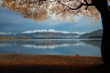 autuminal;autumn;autumn-colour;autumn-colours;autumnal;Buchanan-Mountains;Buchanan-Peaks;calm;Central-Otago;cloud;clouds;cloudy;color;colors;colour;colours;deciduous;fall;gold;golden;lake;Lake-Wanaka;lakes;leaf;leaves;mountain;mountains;N.Z.;New-Zealand;NZ;Otago;overcast;placid;quiet;reflected;reflection;reflections;season;seasonal;seasons;serene;SI;sky;smooth;snow;snow-capped;snowy;South-Island;Sth-Is;still;tranquil;tree;trees;Wanaka;water;willow;willow-tree;willow-trees;willows;yellow