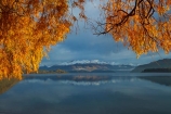 autuminal;autumn;autumn-colour;autumn-colours;autumnal;Buchanan-Mountains;Buchanan-Peaks;calm;Central-Otago;cloud;clouds;cloudy;color;colors;colour;colours;deciduous;fall;gold;golden;gray;grey;lake;Lake-Wanaka;lakes;leaf;leaves;mountain;mountains;N.Z.;New-Zealand;NZ;Otago;overcast;placid;quiet;reflected;reflection;reflections;season;seasonal;seasons;serene;SI;sky;smooth;snow;snow-capped;snowy;South-Island;Sth-Is;still;tranquil;tree;trees;Wanaka;water;willow;willow-tree;willow-trees;willows;yellow