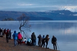 calm;Central-Otago;lake;Lake-Wanaka;lakes;N.Z.;New-Zealand;NZ;Otago;people;person;photographer;photographers;photography;placid;quiet;reflected;reflection;reflections;serene;SI;smooth;South-Island;Sth-Is;still;that-tree;that-wanaka-tree;thattree;thatwanakatree;tourism;tourist;tourists;tranquil;tree;tree-in-lake;trees;Wanaka;Wanaka-Tree;water;willow;willow-tree;willow-trees;willows