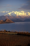 crop;crops;cultivation;farm;farming;farms;field;fields;grape;grapes;grapevine;horticulture;lake;lakes;leaf;leaves;mountain;mountains;row;rows;rural;snow;vine;vines;vineyard;vineyards;vintage;wine;wineries;winery;wines;winter
